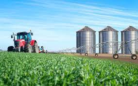 Read more about the article AGRO MOURA